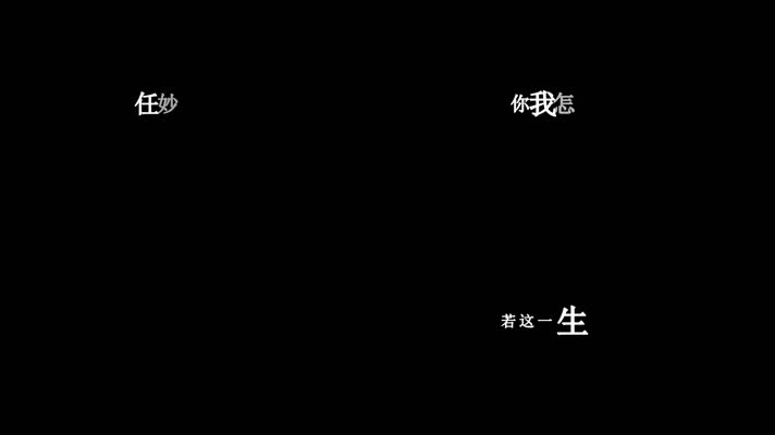 任妙音-情陷歌词视频素材