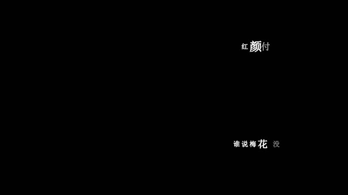 云菲菲-梅花泪歌词dxv编码字幕