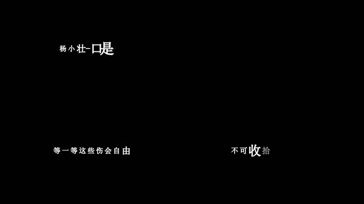杨小壮-口是心非歌词