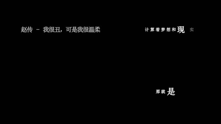 赵传-我很丑,可是我很温柔歌词