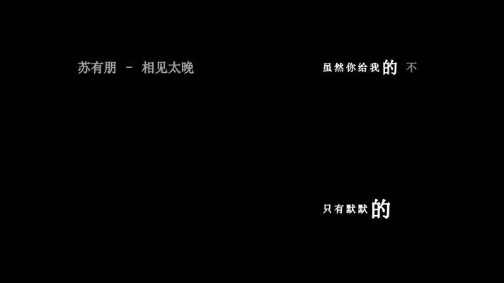苏有朋-相见太晚歌词