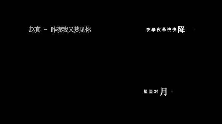 赵真-昨夜我又梦见你歌词