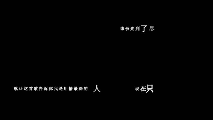 赵真-用情最深的人歌词