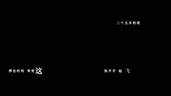 孙燕姿-年轻无极限歌词
