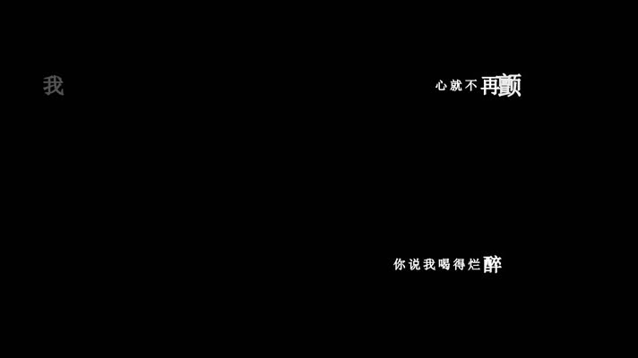 赵真-送我一杯忘情酒歌词