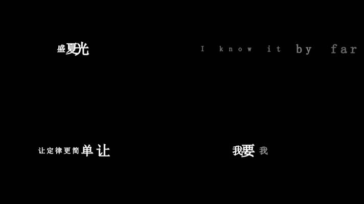 袁娅维-盛夏光年歌词