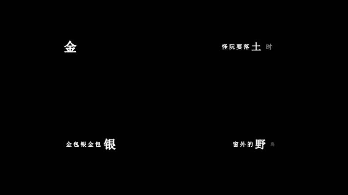 童欣-金包银歌词dxv编码字幕