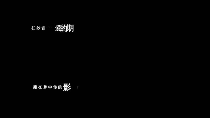 任妙音-爱的期限歌词视频素材