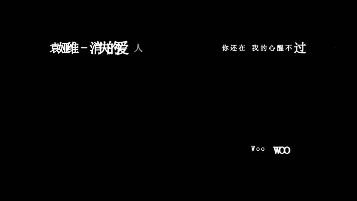 袁娅维-消失的爱人歌词