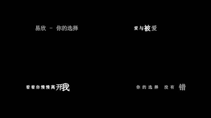 易欣-你的选择歌词