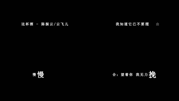 云菲菲-这杯酒歌词dxv编码字幕