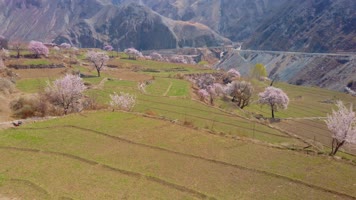 御3航拍青海黄南尖扎隆务峡古浪堤杏花