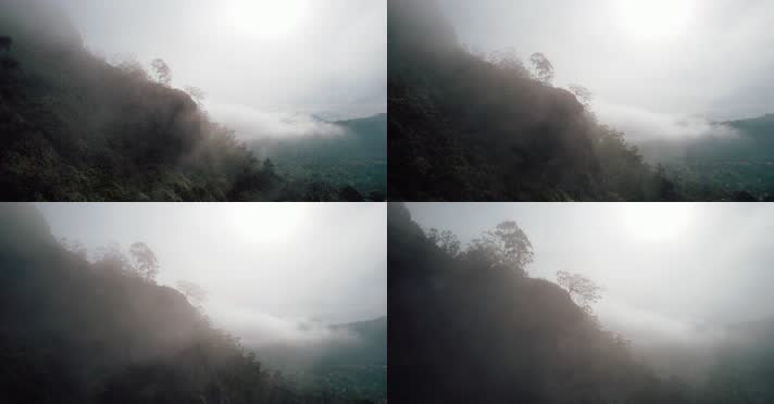 雨后飘着雾气的山林