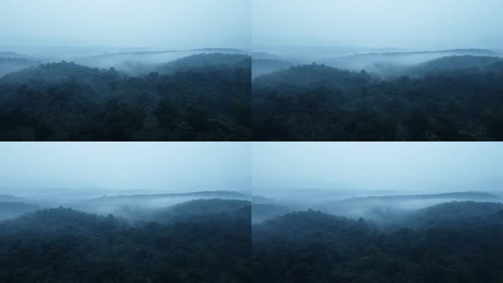 雨后飘着雾气的山林2