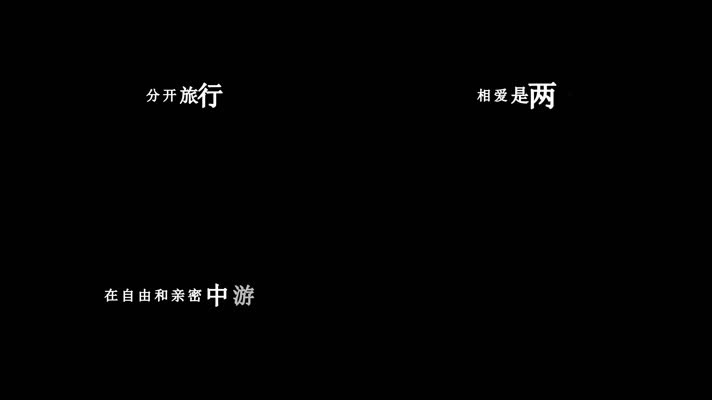 刘若英-分开旅行歌词视频