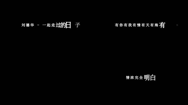 刘德华-一起走过的日子歌词视频