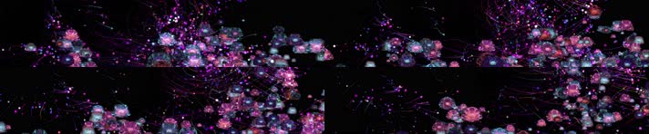 超宽屏粒子花朵