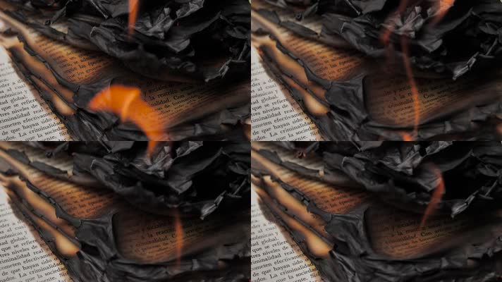 燃烧的书页