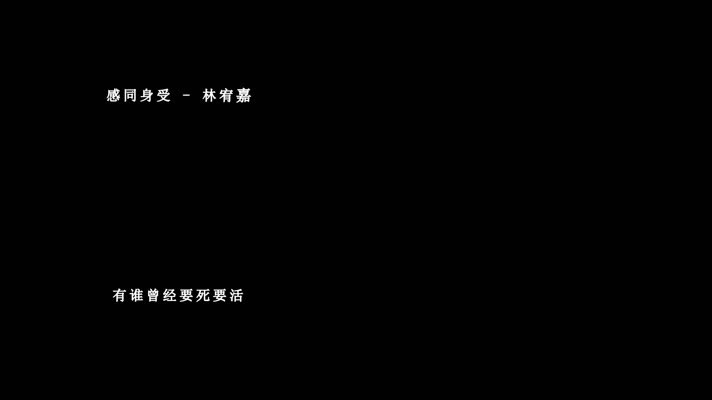 林宥嘉-感同身受歌词视频