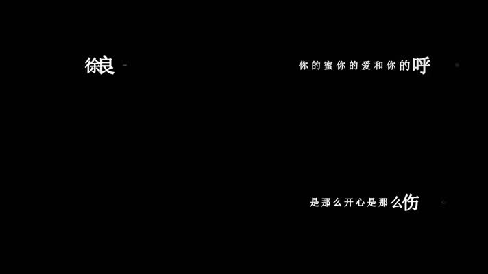 徐良-女骑士歌词dxv编码字幕