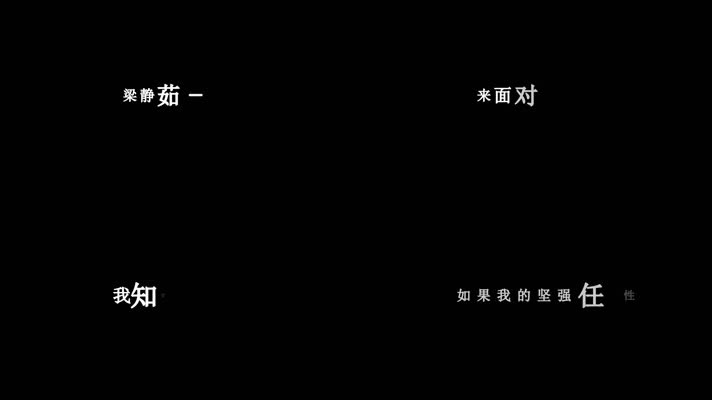 梁静茹-勇气歌词视频