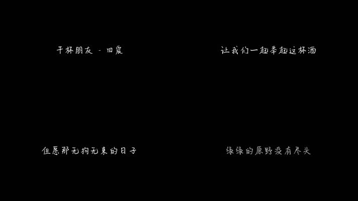 干杯朋友 - 田震（1080P）