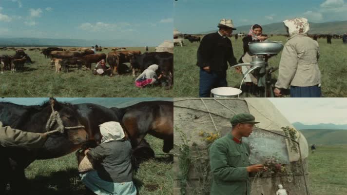 60年代哈萨克族牧民生活影像12