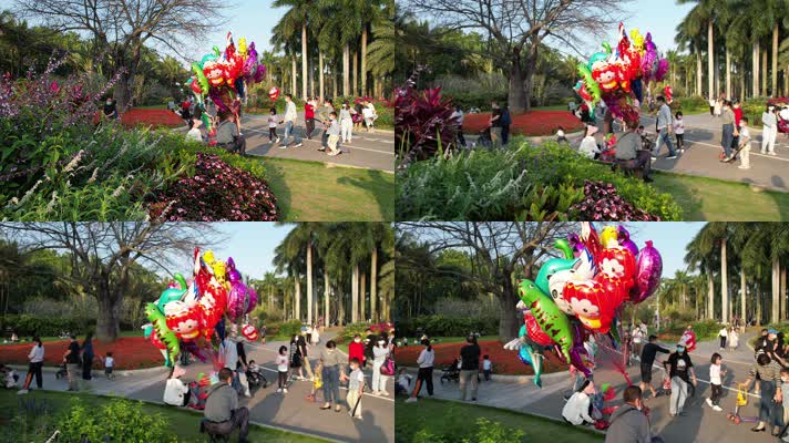 深圳莲花山公园  气球