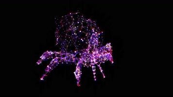 全息粒子蜘蛛循环