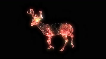 粒子鹿行走循环