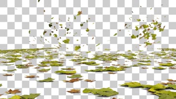 风吹满地落叶-alpha通道