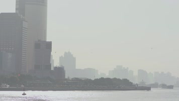 上海早晨黄浦江岸轮船飞鸟