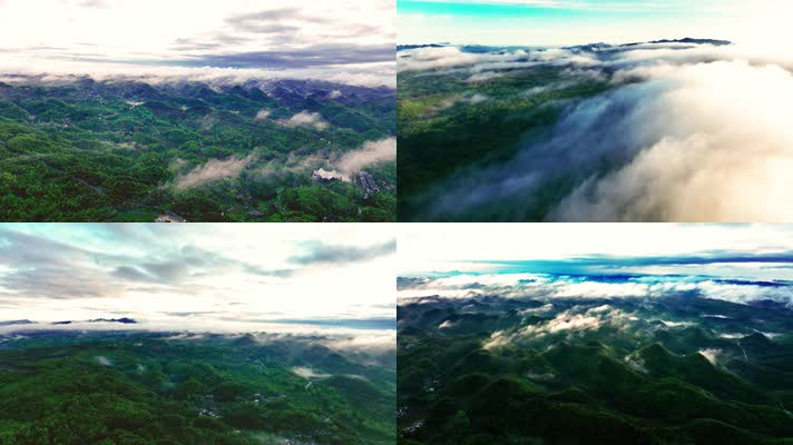 4K航拍贵州百里杜鹃风景区