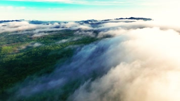 4K航拍贵州百里杜鹃风景区