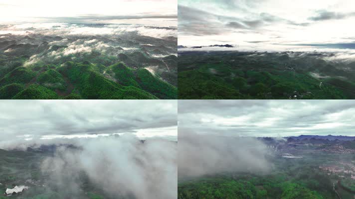 4K航拍贵州百里杜鹃风景区