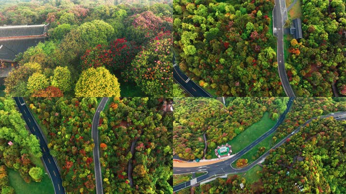 4K航拍贵州百里杜鹃风景区