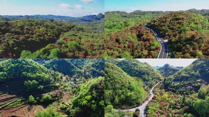 贵州百里杜鹃普底景区