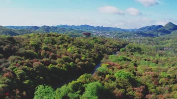 贵州百里杜鹃普底景区