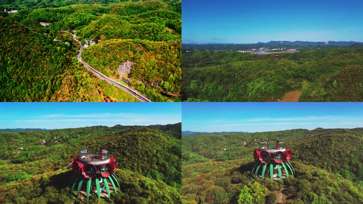 贵州百里杜鹃普底景区