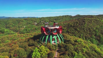 贵州百里杜鹃普底景区