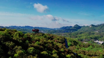 贵州百里杜鹃普底景区