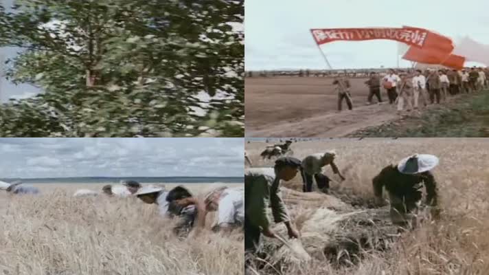 60年代北大荒开垦军团影像26