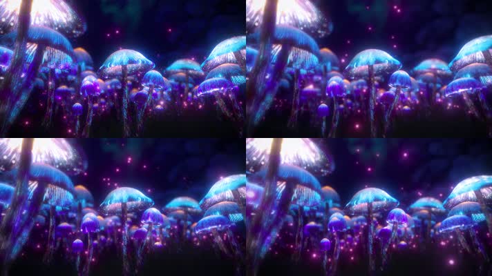 【4K】神奇蘑菇