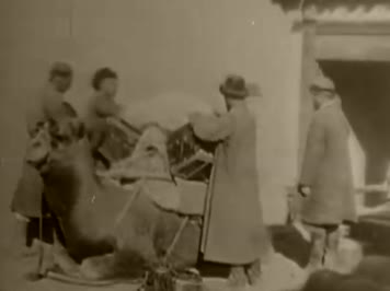 清末民初茶马古道货物运输驼队 清末民初茶马古道货物运输驼队