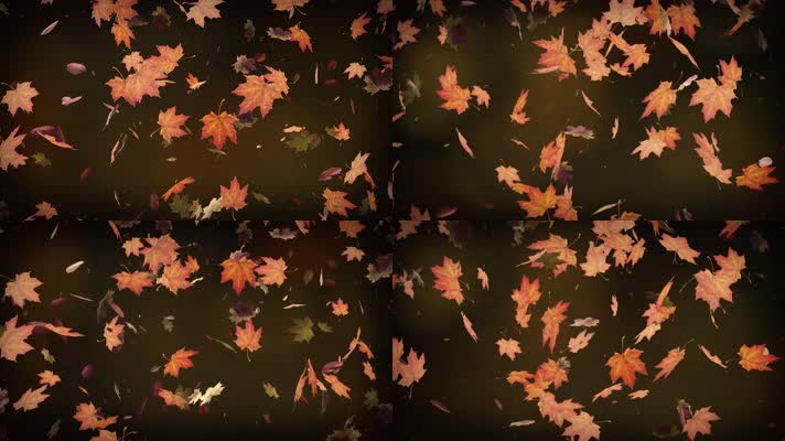 【4K】秋叶飘落