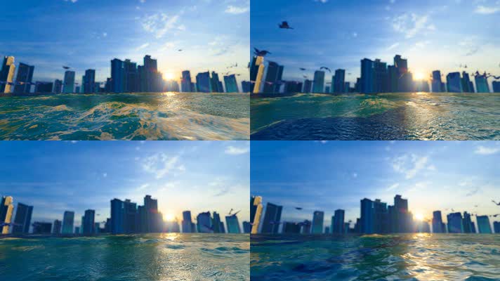 4k 海滨城市海鸥飞翔