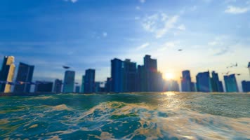 4k 海滨城市海鸥飞翔