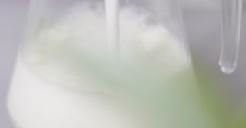 倒鲜奶纯牛奶粉健康家庭乳白醇香 4k高速