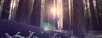 三维地产 动画 商务 商业 科技 素材 