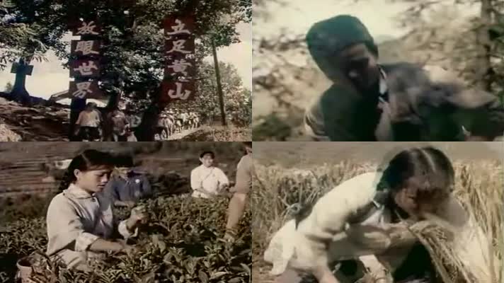 60年代安徽知青下乡劳动影像5